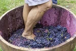 Cape Winelands Day tour