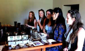 Vergenoegd Wine Farm Stellenbosch Wine Tour