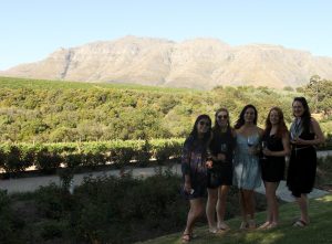 Rust En Vrede Wine Estate Stellenbosch Wine Tour