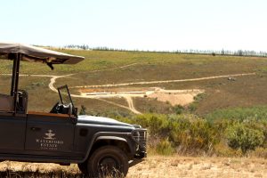 Waterford Wine Estate Stellenbosch