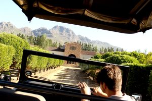 Waterford Wine Estate Stellenbosch