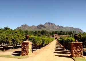 Waterford Wine Estate Stellenbosch