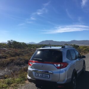 Cape Point Exploring