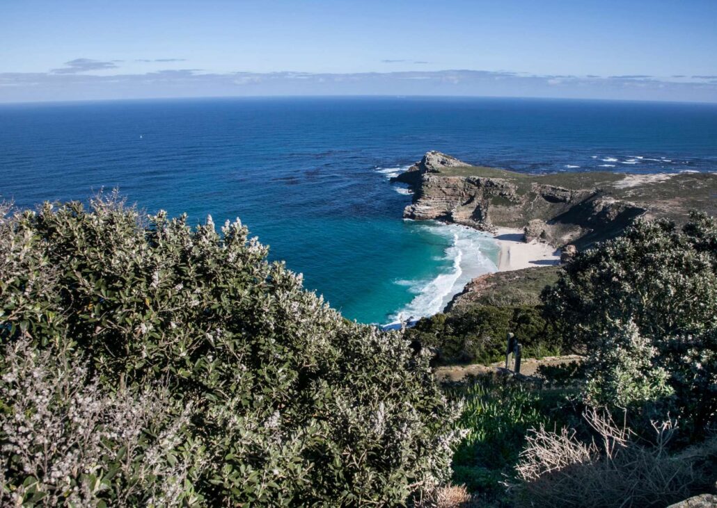 Views from Cape Point