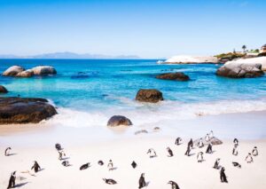 Boulders Beach