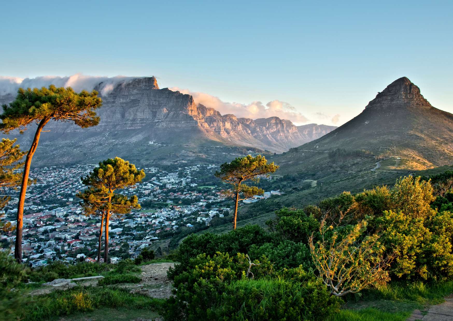 Cape Town City Tour Landscape
