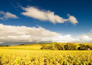 Overberg Touring