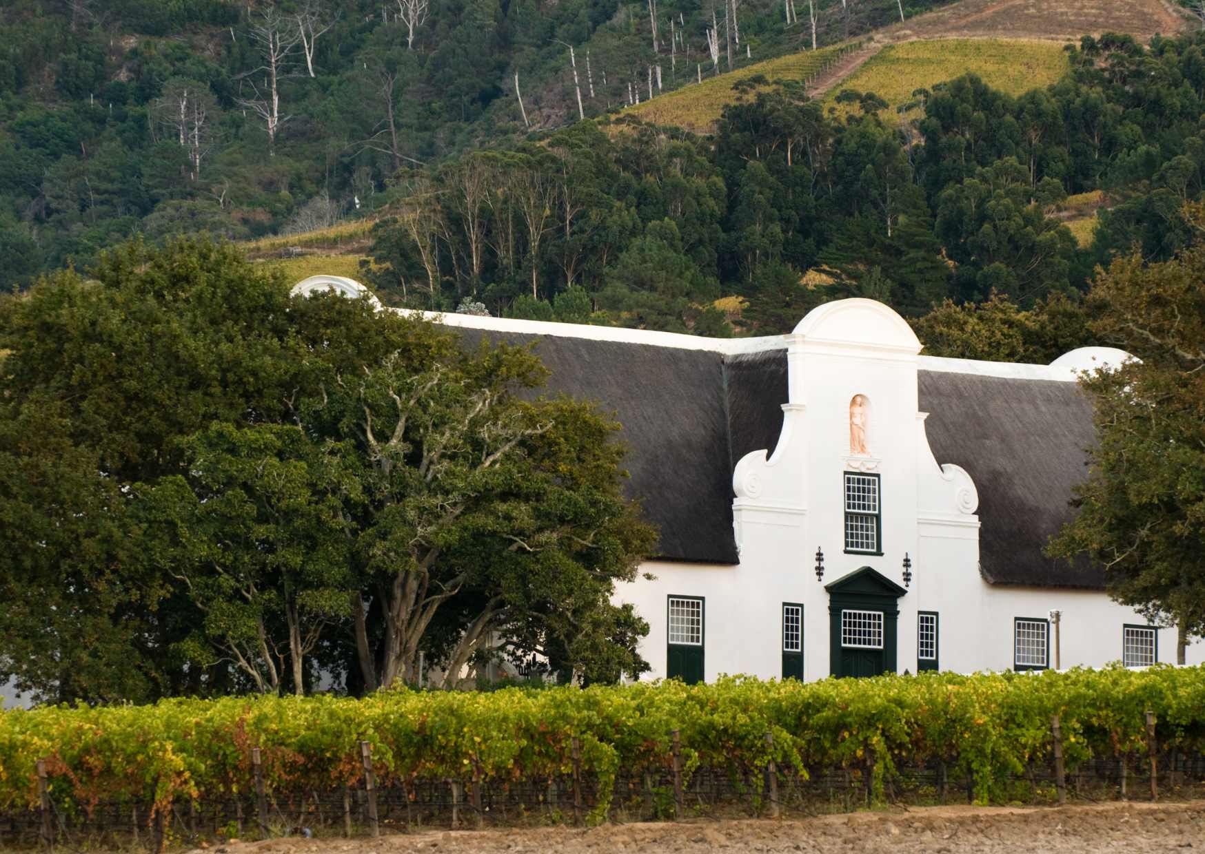 Views of Constantia