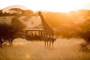 3 nights Kruger safari