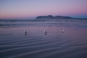 Muizenberg Beach